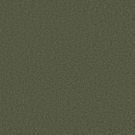 Shaw Floors SFA Tonal Comfort Blue Net Olive Grove