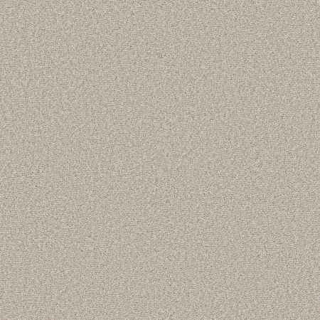 Shaw Floors Pet Perfect Ultra Lush Net Warm Light