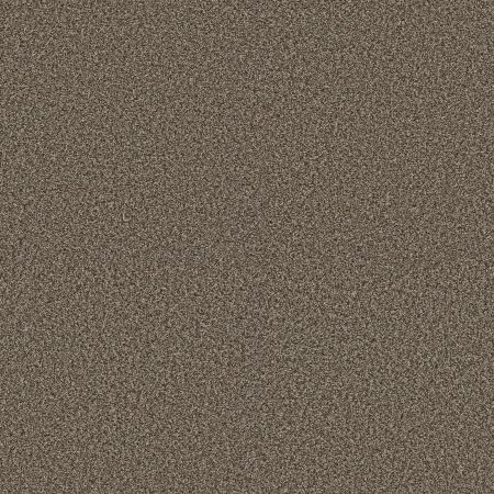 Shaw Floors Pet Perfect Plus Renewed Energy I Net Fence Post