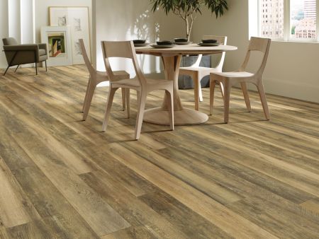 Shaw Floors 5th And Main Expedition Plus Teton Trek