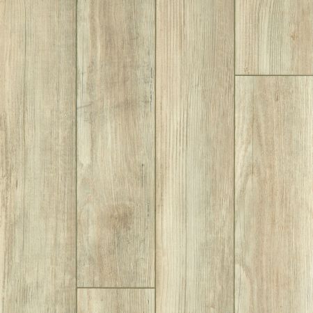 Shaw Floors SFA Adventure Hd+ Accent Cypress