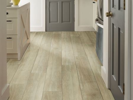 Shaw Floors SFA Adventure Hd+ Accent Cypress