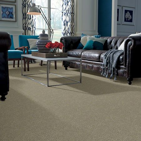 Shaw Floors Simply The Best Attainable Grecian Tan