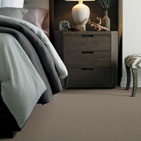 Shaw Floors Simply The Best Momentum II Hickory Manor