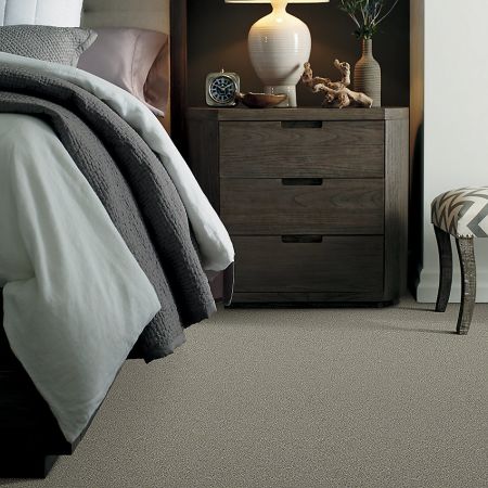 Shaw Floors Simply The Best Momentum I Rockslide