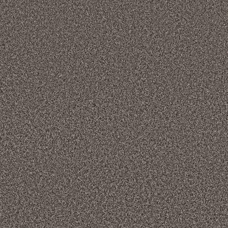 Shaw Floors Refined Comfort I 12' Slate Grey