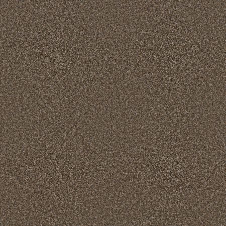 Shaw Floors Refined Comfort I 12' Delta Sand
