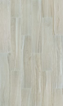 Shaw Floors Ceramic Solutions Studio 8x40 London