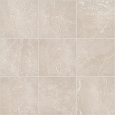 Shaw Floors Ceramic Solutions Venture 24x24 Renew