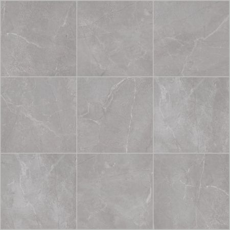 Shaw Floors Ceramic Solutions Venture 24x24 Intuition