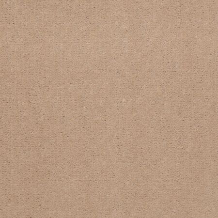 Philadelphia Commercial Registry 30 Tahoe Tan