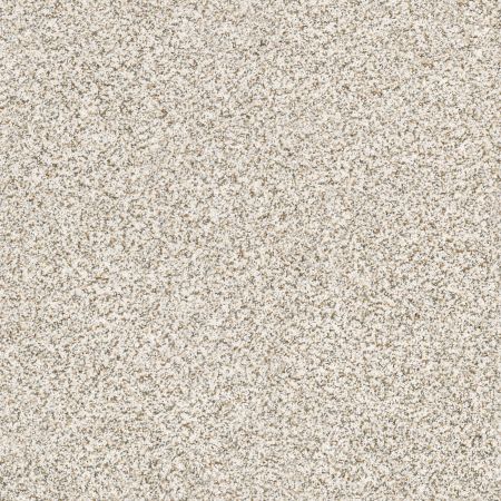 Shaw Floors Caress By Shaw Delicate Distinction Classic I Breton