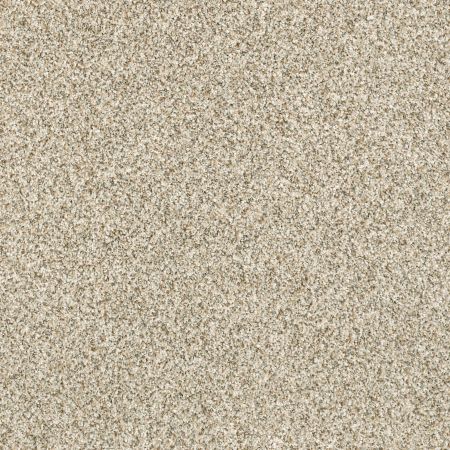 Shaw Floors Caress By Shaw Delicate Distinction Classic I Celtic