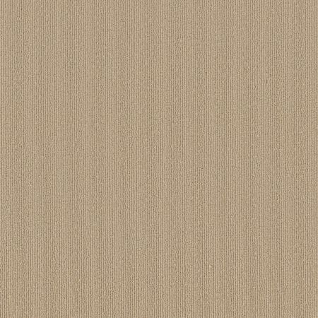 Shaw Floors Caress By Shaw Tranquil Waters Lg Sahara