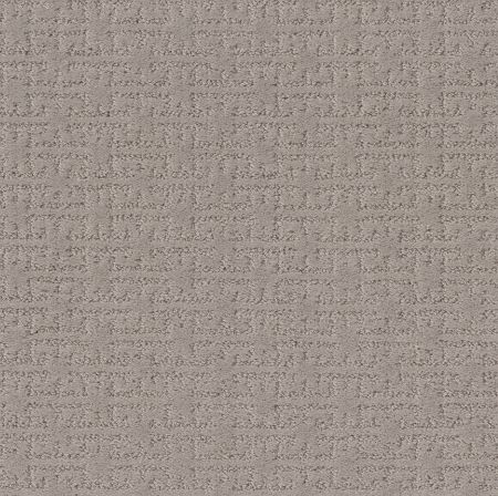 Shaw Floors Caress By Shaw Zenhaven Stucco