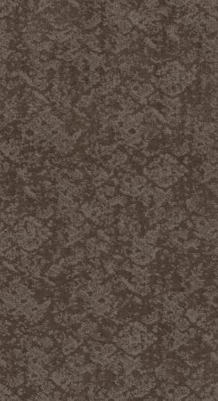 Shaw Floors Caress By Shaw Free Spirit Ridgeview