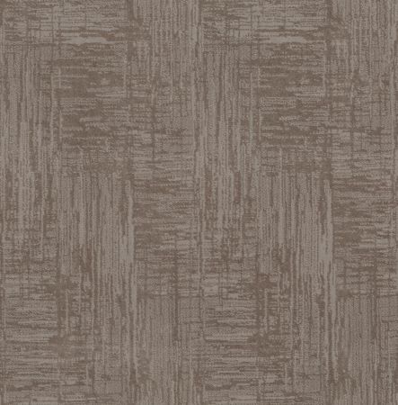 Shaw Floors Caress By Shaw Insightful Journey Stucco