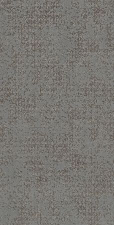 Shaw Floors Caress By Shaw Artistic Presence Grounded Gray