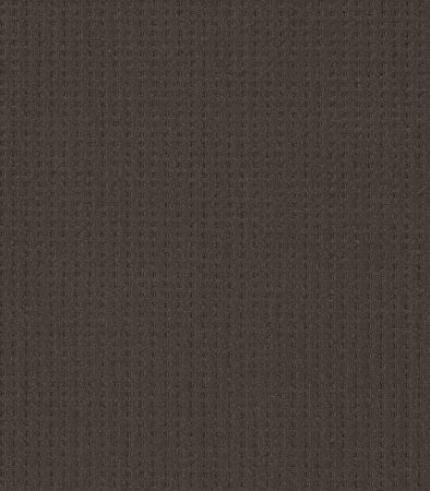 Shaw Floors Caress By Shaw Soft Symmetry Burma Brown
