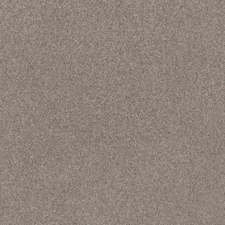 Shaw Floors Caress By Shaw Cozy Harbor I Stucco
