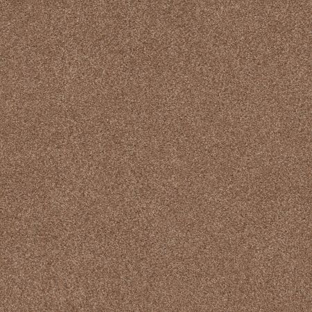 Shaw Floors Caress By Shaw Cozy Harbor II Sunbaked
