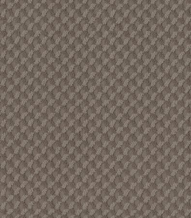 Shaw Floors Caress By Shaw Inspired Design Ridgeview