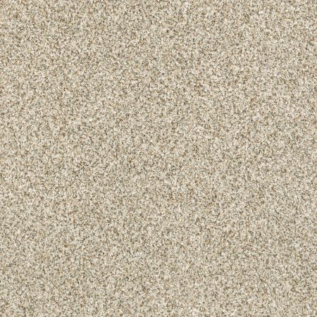 Shaw Floors Value Collections Devon Classic III Net Celtic