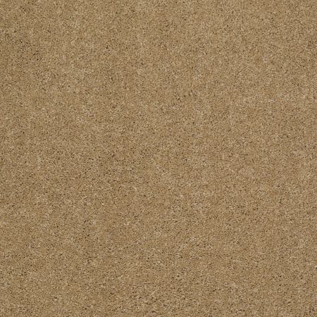Shaw Floors Caress By Shaw Quiet Comfort II Navajo