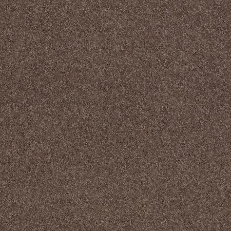 Shaw Floors Caress By Shaw Quiet Comfort Classic Iv Spring - Wood