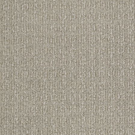 Shaw Floors Caress By Shaw Luxe Classic Crete