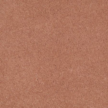 Shaw Floors Caress By Shaw Cashmere I British Rouge