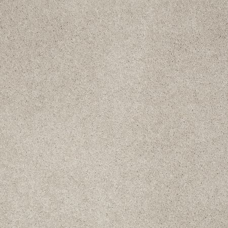 Shaw Floors Caress By Shaw Cashmere I Morning Mist