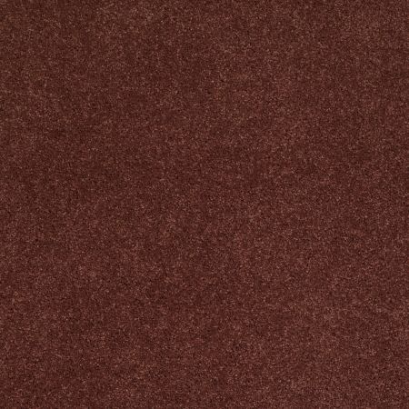 Shaw Floors Caress By Shaw Cashmere Iv Guanaco
