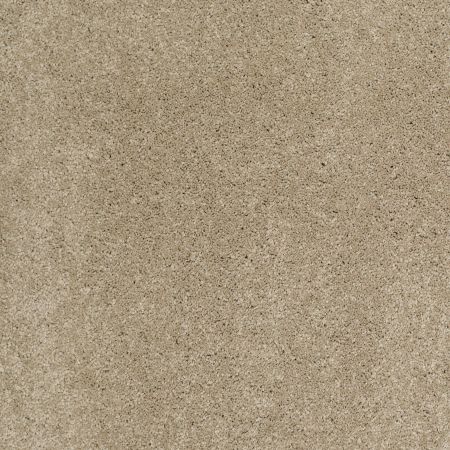 Shaw Floors Caress By Shaw Cashmere Classic I Pecan Bark