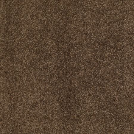 Shaw Floors Caress By Shaw Cashmere Classic III Bison