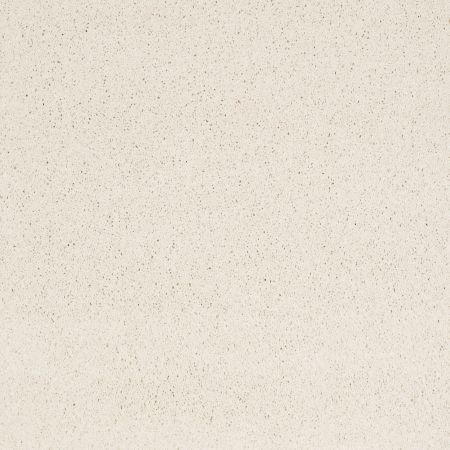 Shaw Floors Caress By Shaw Cashmere Classic Iv Icelandic
