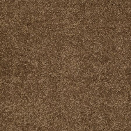 Shaw Floors Caress By Shaw Cashmere Classic Iv Tobacco Leaf