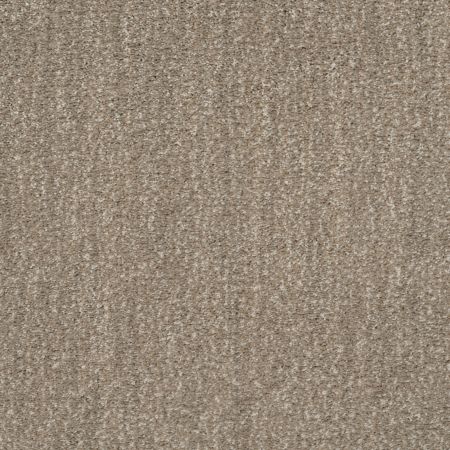 Shaw Floors Caress By Shaw Ombre Whisper Tumbleweed