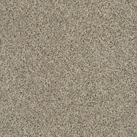 Shaw Floors Caress By Shaw Angora Classic II Walnut Shell