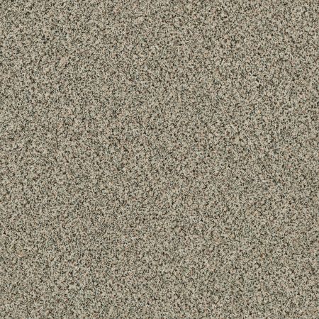 Shaw Floors Caress By Shaw Angora Classic III Dartmoor