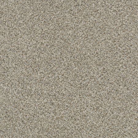 Shaw Floors Caress By Shaw Devon Classic I Drizzle