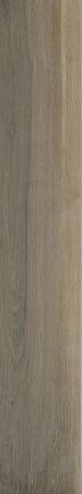 Shaw Floors Ceramic Solutions Independence 6x36 Walnut