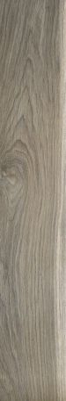 Shaw Floors Ceramic Solutions Independence 6x36 Blend