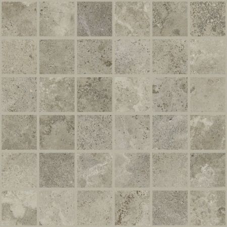 Shaw Floors Ceramic Solutions Contour 2x2 Mosaic Emerge