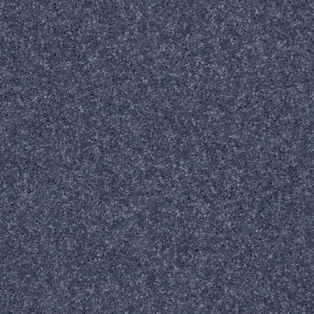 Shaw Floors All Star Weekend II 15' Charcoal