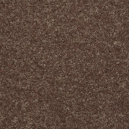 Shaw Floors All Star Weekend III 12' Cattail