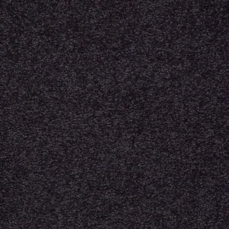 Shaw Floors Magic At Last I 12' Midnight
