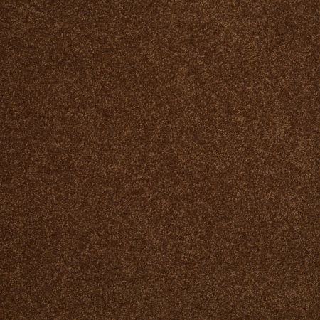 Shaw Floors Magic At Last III 12' Cocoa