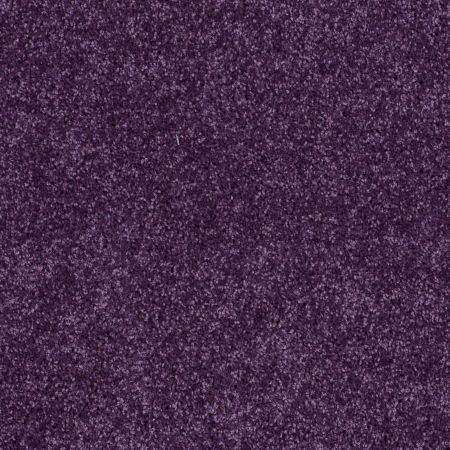 Shaw Floors Kid Crossing Grape Jelly