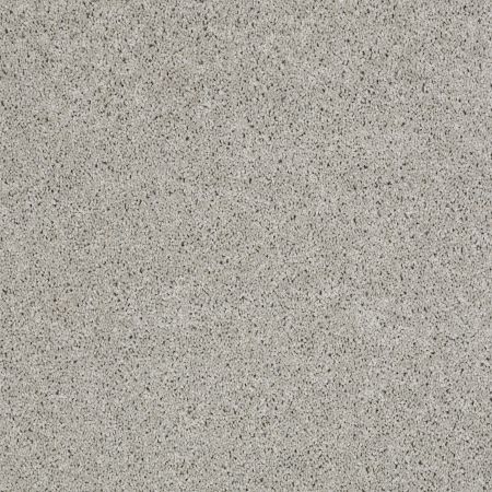 Shaw Floors Enduring Comfort I Sheer Silver